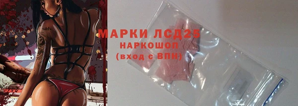 стаф Арсеньев