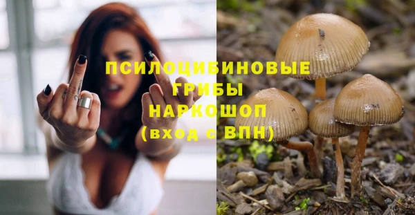 a pvp Алексин